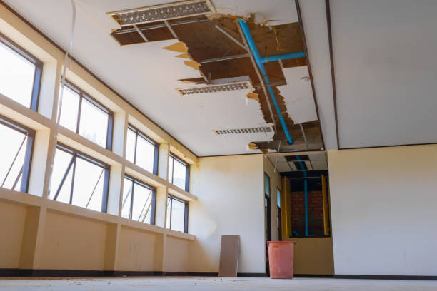 Best Flooded house restoration  in Beavercreek, OR