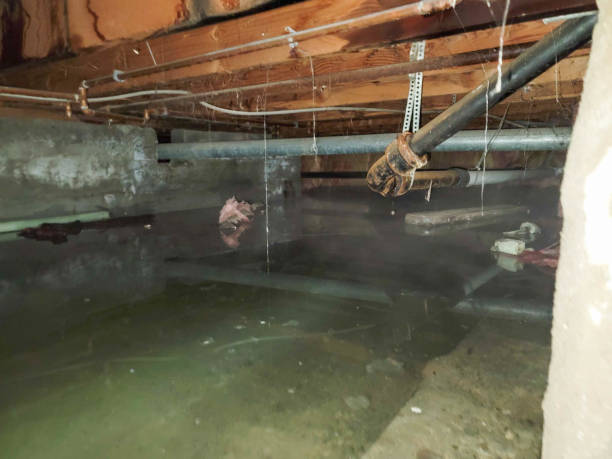 Sewage cleanup and water damage restoration in OR