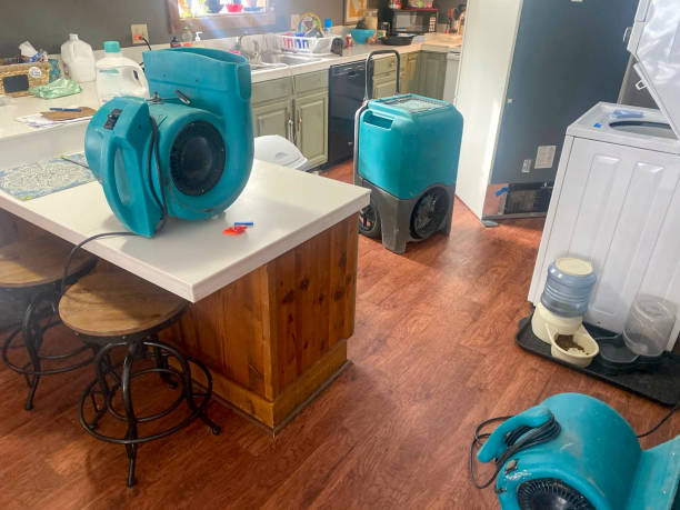 Best Water damage cleanup near me  in Beavercreek, OR