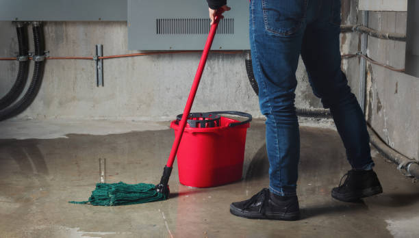 Best Water damage cleanup near me  in Beavercreek, OR